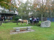 fuchsjagd_20146_20141017_1111585768