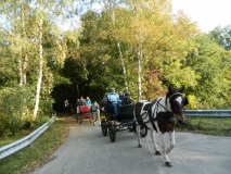 fuchsjagd_201517_20151011_2007149162