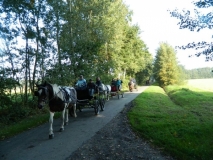 fuchsjagd_201518_20151011_1617831810