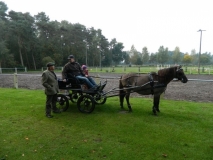 fuchsjagd_20151_20151011_1152885334