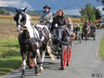 fuchsjagd_201610_20161018_1134862817