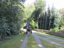 fuchsjagd_201621_20161009_1288013298