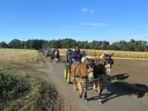 fuchsjagd_20167_20161009_1588673693