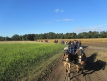 fuchsjagd_20168_20161009_1032000152
