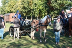 fuchsjagd_20185_20181014_1988027322