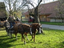 jahresabschlussfahrt_201410_20141123_1496451374
