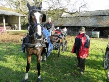 jahresabschlussfahrt_201414_20141123_1538395994
