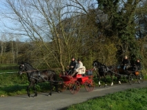 jahresabschlussfahrt_201418_20141123_2059786628