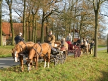jahresabschlussfahrt_201422_20141123_2070196916