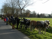 jahresabschlussfahrt_201423_20141123_2077352849