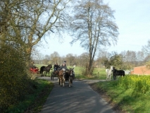 jahresabschlussfahrt_20143_20141123_2033386377