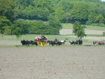 kroenungsfahrt13_20140512_2089722387