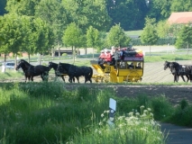 kroenungsfahrt14_20140512_1283394160