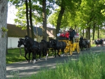 kroenungsfahrt15_20140512_1227743555