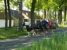 kroenungsfahrt16_20140512_1702297669