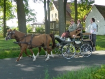 kroenungsfahrt17_20140512_1488895337