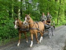 kroenungsfahrt4_20140512_1582600272