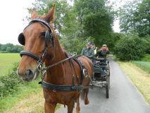 k-Füchtorf-2014-068