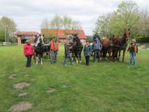 k-IMG_2652