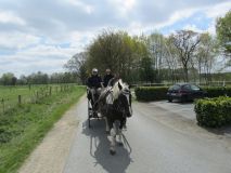 k-IMG_2654