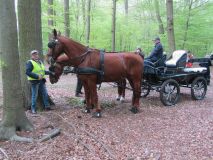 k-IMG_2662