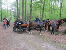 k-IMG_2665