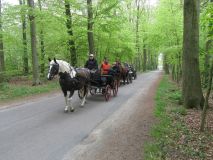 k-IMG_2668