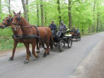 k-IMG_2669
