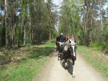 k-IMG_2671