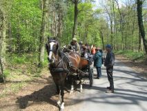 k-IMG_2672