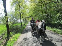 k-IMG_2694