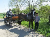 k-IMG_2696