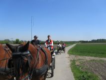 k-IMG_2700