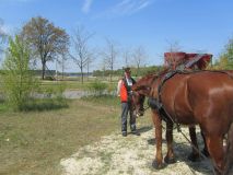 k-IMG_2703