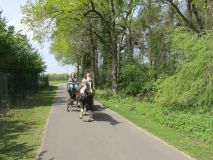 k-IMG_2717