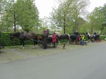 k-IMG_2733