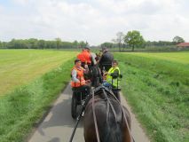 k-IMG_2736