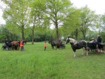 k-IMG_2743