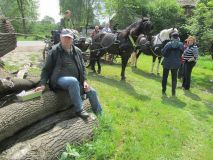 k-IMG_2769