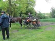 k-IMG_2771