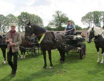 k-IMG_2828