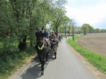 k-IMG_2836