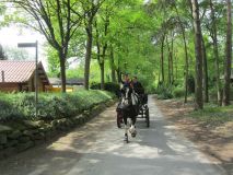 k-IMG_2843
