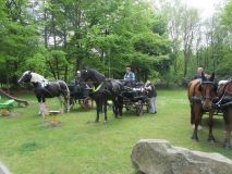 k-IMG_2846