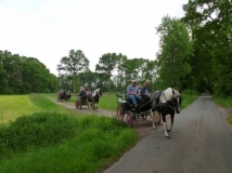 20180514_1077679724_k-maifahrt_reiterhof_hunsche_lienen-101