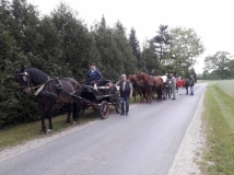 20180514_1763827119_lienen_2