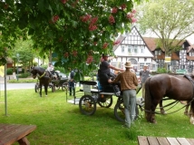 20180514_1960294618_k-maifahrt_reiterhof_hunsche_lienen-096