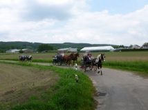 20180514_1960997839_k-maifahrt_reiterhof_hunsche_lienen-094