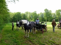 20180514_2050796349_k-maifahrt_reiterhof_hunsche_lienen-099