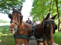 maifahrt_201832_20180514_1520660210